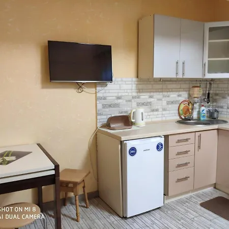 Apartment Апартаменты Домовик Солнечное Закарпатье