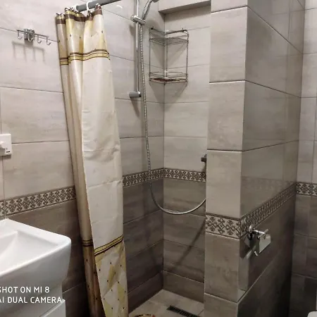 Apartment Апартаменты Домовик Солнечное Закарпатье