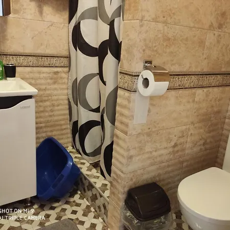 Апартаменты Домовик Солнечное Закарпатье Apartment Poljana