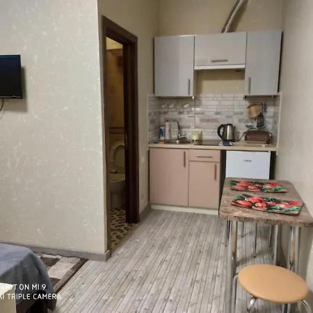 Apartment Апартаменты Домовик Солнечное Закарпатье *