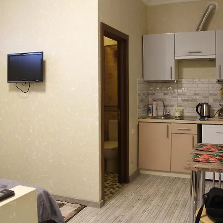 Apartment Апартаменты Домовик Солнечное Закарпатье *